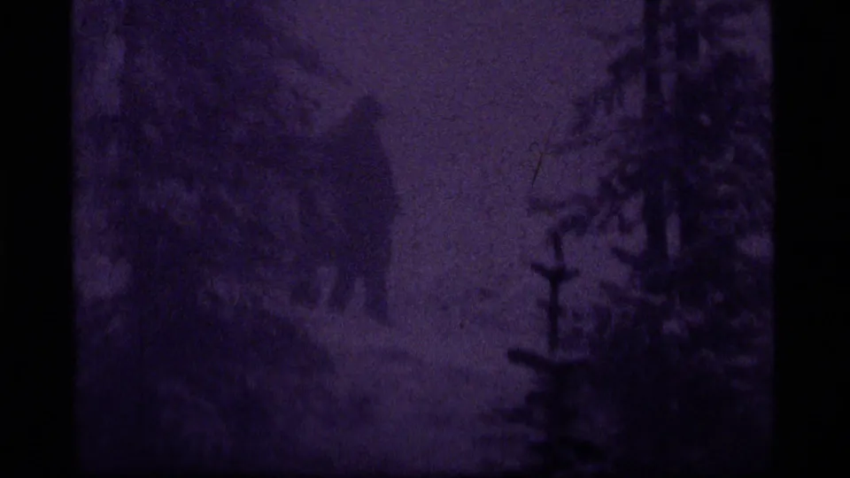 Soft 8mm frame from the snowy Montana campsite, with dark trees and a partly obscured figure or shelter form.