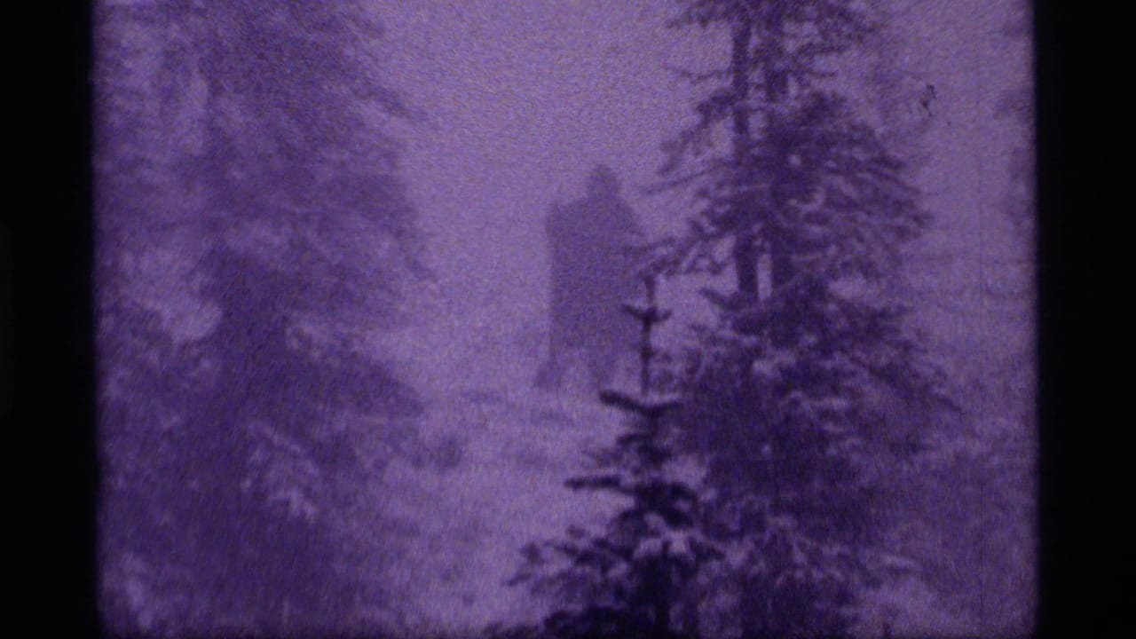 1977 Sapphire Lake, Montana 8mm frame showing a distant walker among snow-dusted evergreens and heavy mist.