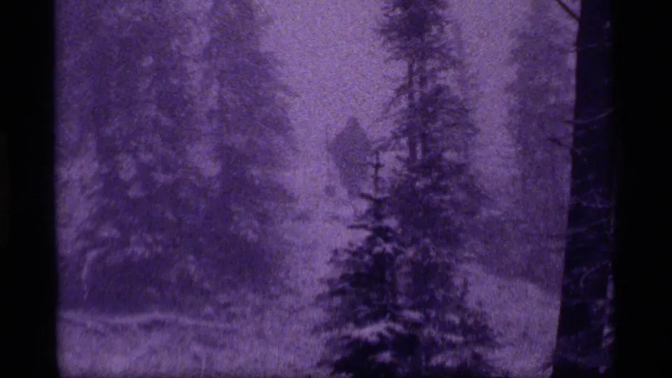 1977 Montana home-movie frame with a lone figure receding through a misty evergreen stand near Sapphire Lake.
