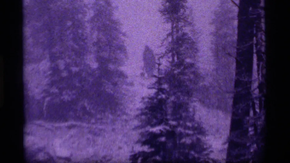 Purple-tinted 8mm frame of a distant walker among snowy evergreens at Sapphire Lake, Montana, supported by clip metadata.