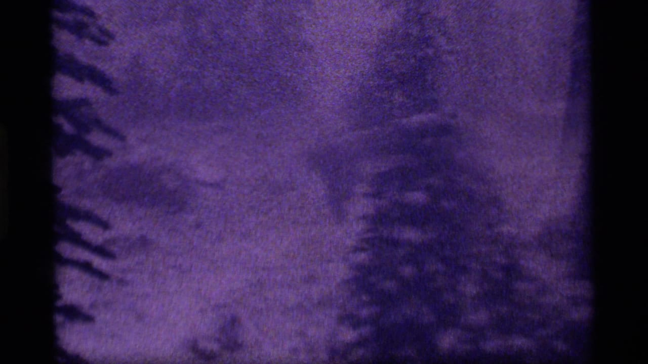 1977 8mm frame from Sapphire Lake, Montana, showing a snowy forest view with purple tint and a faint hooded figure among trees.