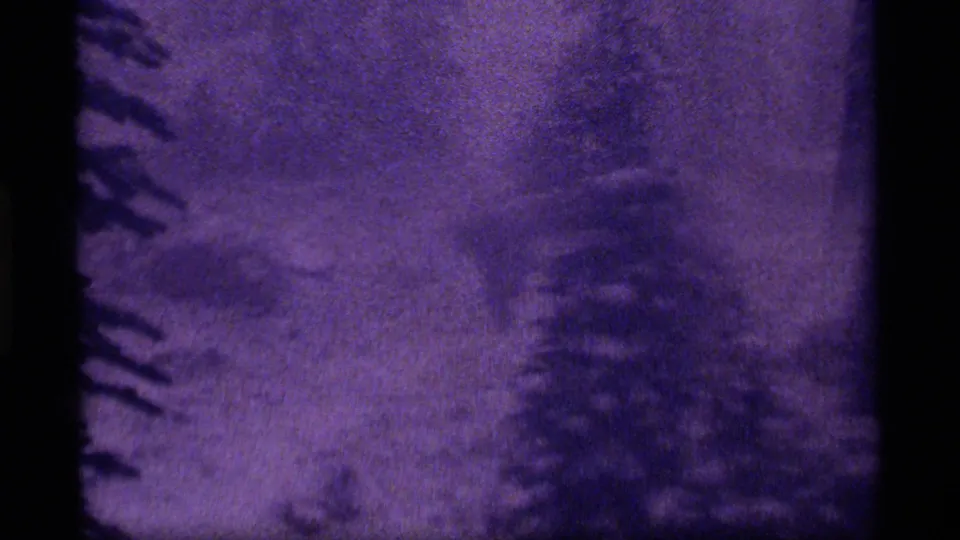 1977 8mm frame from Sapphire Lake, Montana, showing a snowy forest view with purple tint and a faint hooded figure among trees.