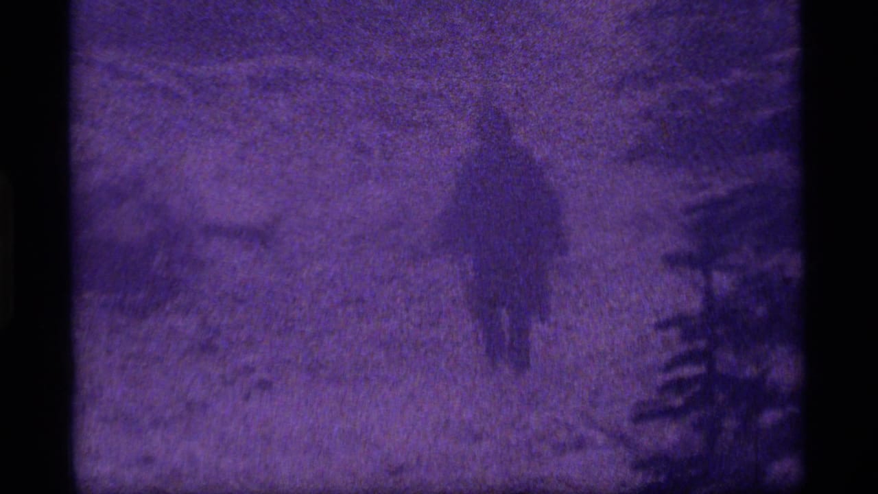 Purple-tinted 1977 8mm view at Sapphire Lake, Montana, with a hooded person partly visible in a snowy evergreen setting.