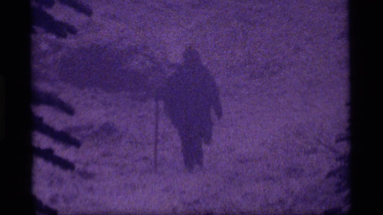 Bundled figure moving through a snowy forest, partly obscured by dark evergreen branches.