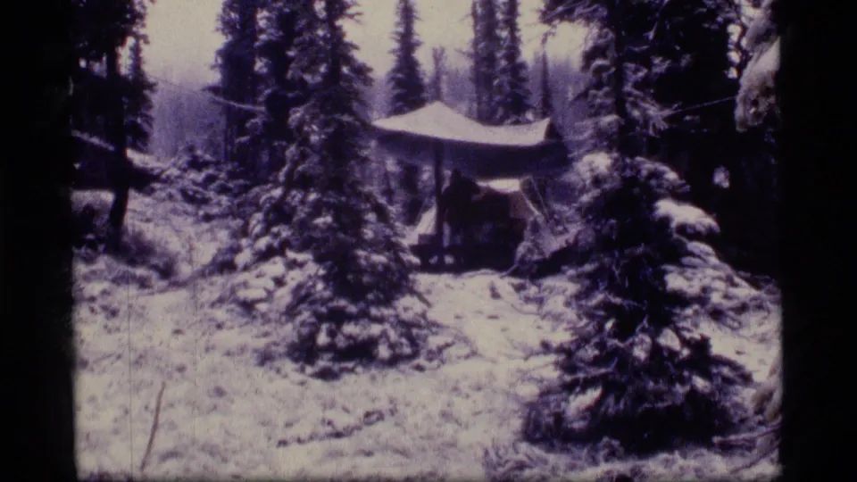 A small tent stands in a snowy Sapphire Lake forest campsite, surrounded by snow-laden evergreens and soft purple-tinted 8mm texture.