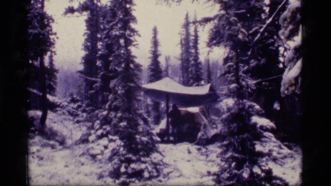 Snow-covered pines surround a small tarp shelter in the forest.