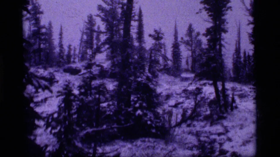 1977 Montana home-movie frame looking across a snowy evergreen woodland, with soft purple film color and uneven terrain.