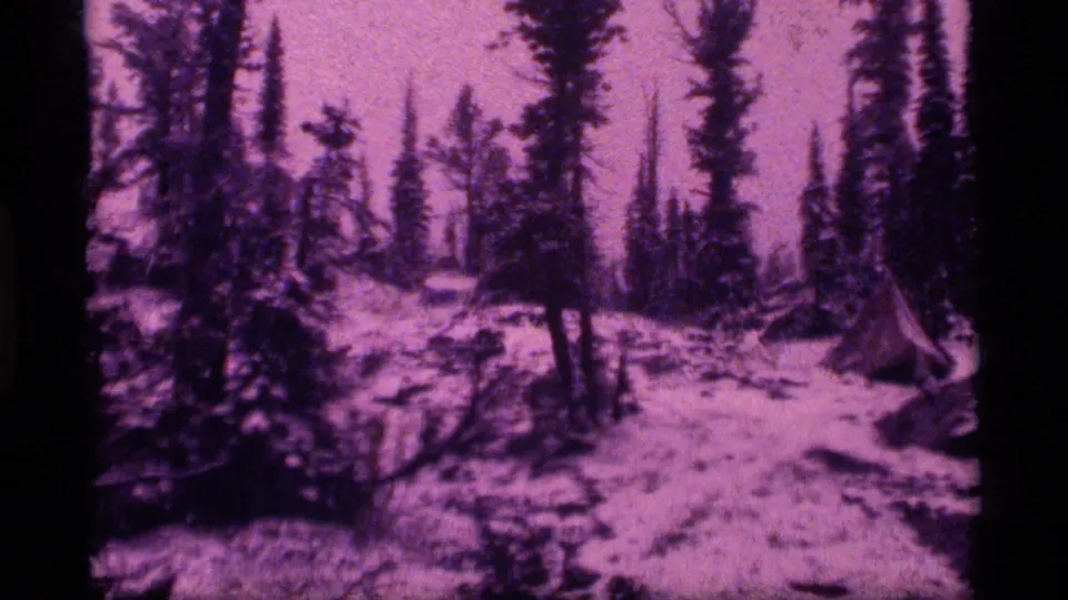 Snowy conifer landscape at Sapphire Lake, Montana, seen in 1977 8mm footage with strong lavender and magenta color shift.