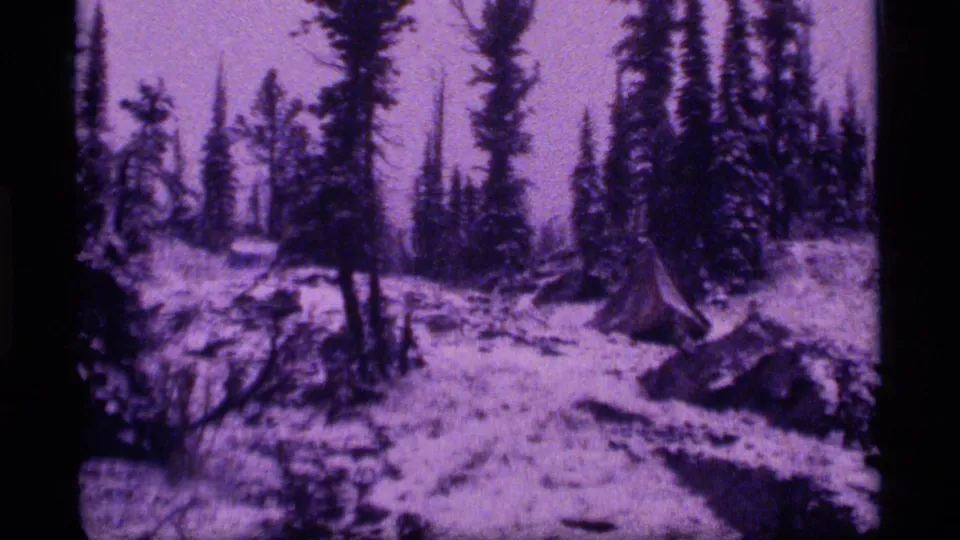 Handheld 8mm frame of a snowy Sapphire Lake woodland, with conifers, uneven exposure, and lavender-magenta film coloration.