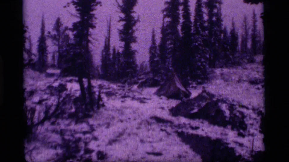 Final 1977 8mm frame of snowy evergreens near Sapphire Lake, Montana, with purple-magenta tint and prominent film-strip border.