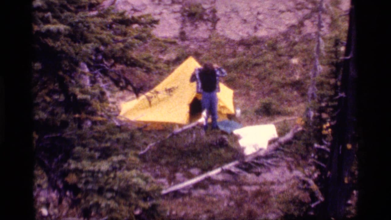 Adult camper stands beside a bright yellow tent among trees and rough ground.