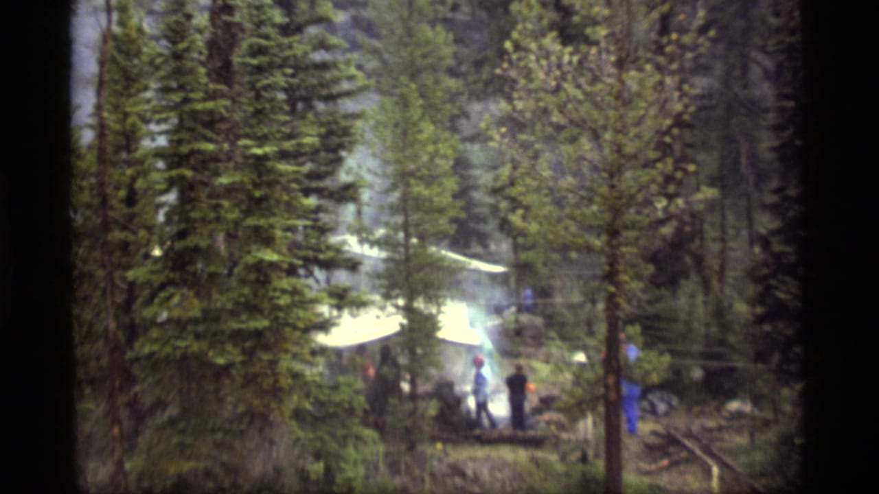 A white canopy and several figures appear between tall pine trees with smoke drifting upward.
