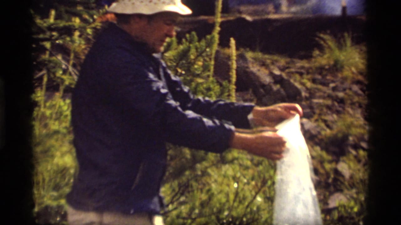 Man in a white hat and blue jacket holding a white plastic bag outdoors.