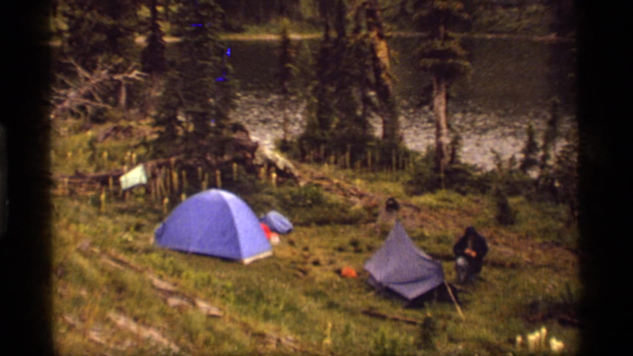 Campsite with blue and gray tents on a grassy slope near water and trees.