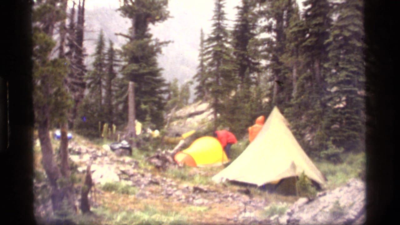 Forest campsite with yellow and pale tents beside rocky wet ground.