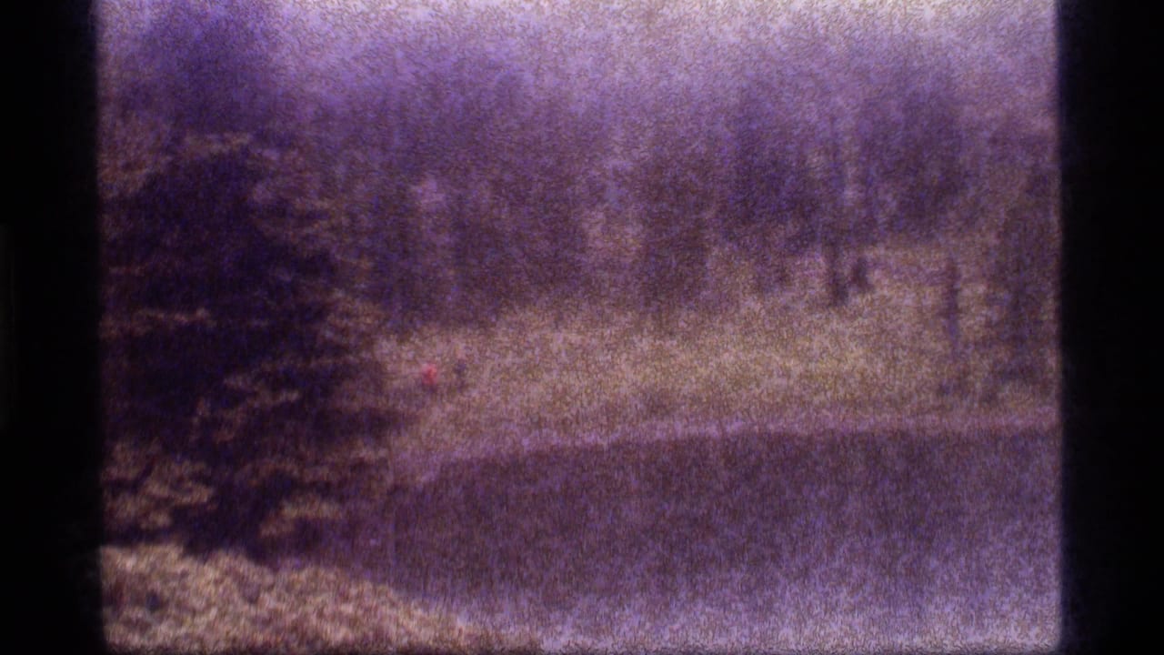 Distant red-shirted person beside a pond with trees in the background.