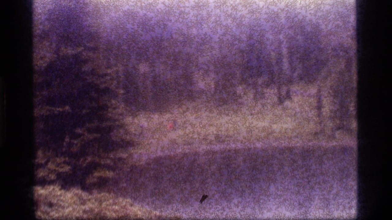 Distant red-clad hiker beside a lake with evergreen trees and heavy film grain.