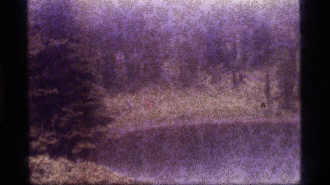 Soft, purple-cast 8mm view of Sapphire Lake with a distant shoreline walker, trees and reflective water.