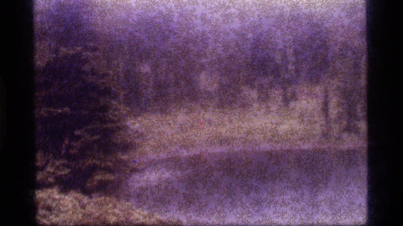 1977 8mm view at Sapphire Lake, Montana, showing heavy rain over a meadow, a large evergreen, and a softened treeline.