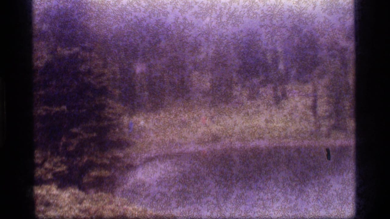 Rain-obscured meadow and treeline with a dark evergreen and a small blurred figure or mark at right.