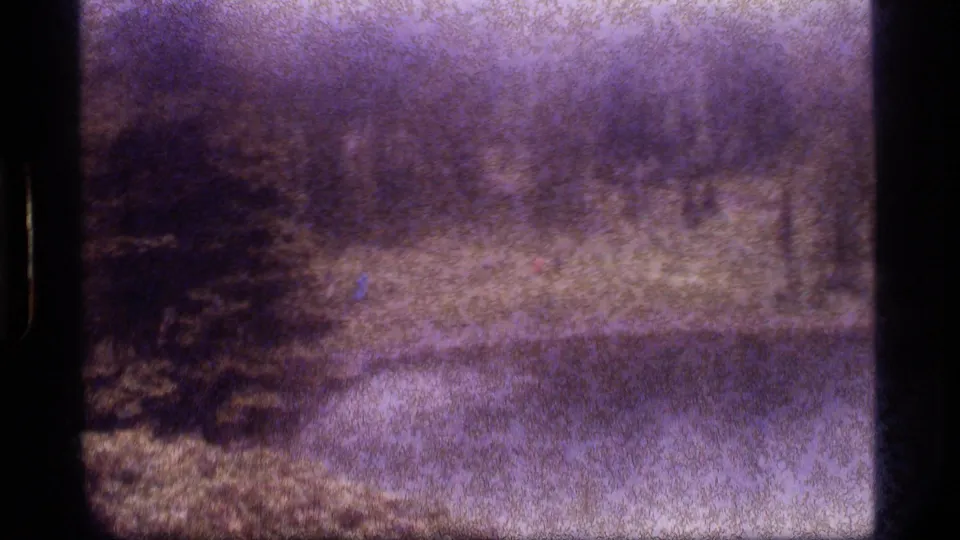 Soft 8mm frame from Sapphire Lake, Montana, with heavy rain, meadow grass, an evergreen, and a washed-out distant treeline.