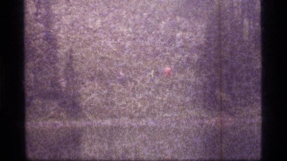 Grainy 1977 Sapphire Lake frame with rain-blurred grass, wet ground or lake edge, and faint trees in the background.