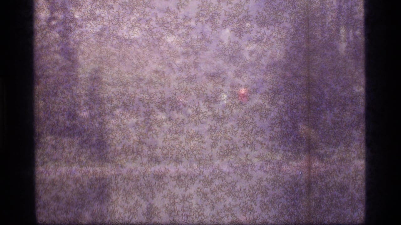 Heavily grainy purple-brown 8mm frame with dark borders and an indistinct wooded texture.