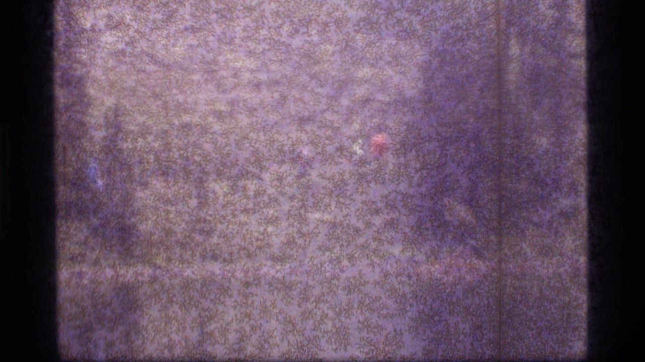 Obscured 1977 Sapphire Lake, Montana frame showing faint natural forms under heavy 8mm grain and scratches.