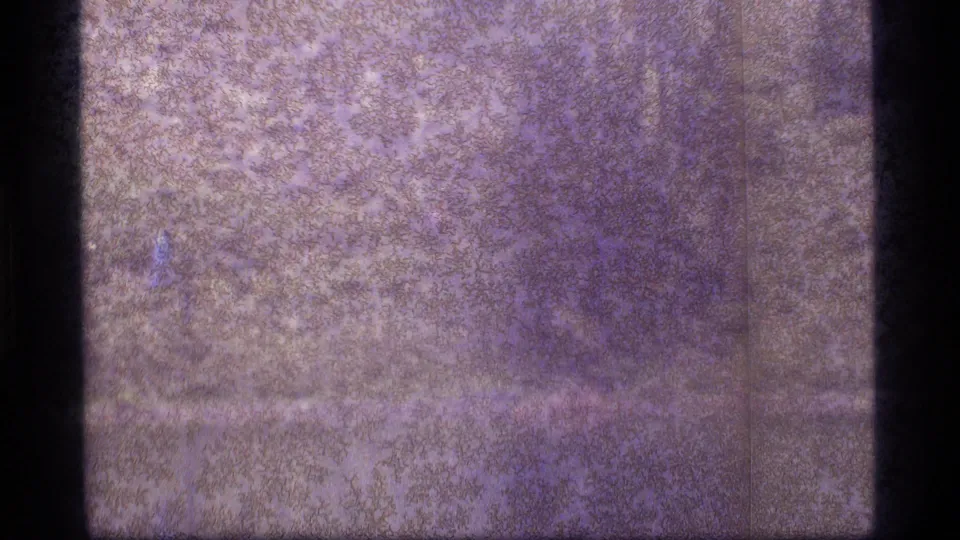 Obscured 1977 Sapphire Lake, Montana frame with heavy grain, scratches, and faint lakeside or forest texture.