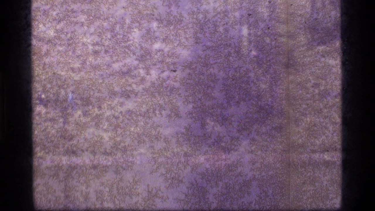 1977 Sapphire Lake, Montana 8mm frame with heavy grain, purple tint, dark borders, and faint rugged terrain detail.
