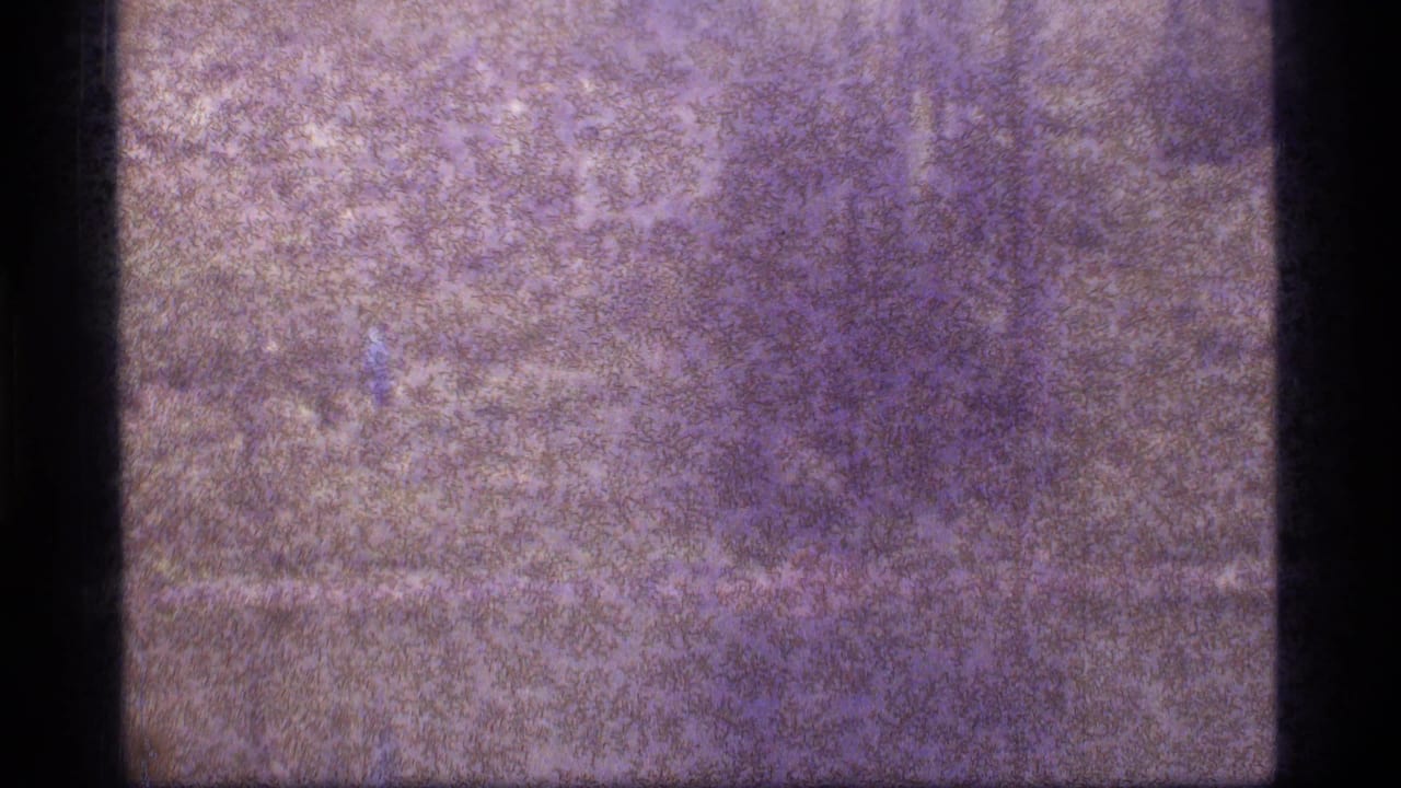 Degraded purple film frame with faint landscape texture and a dark vertical band at left.