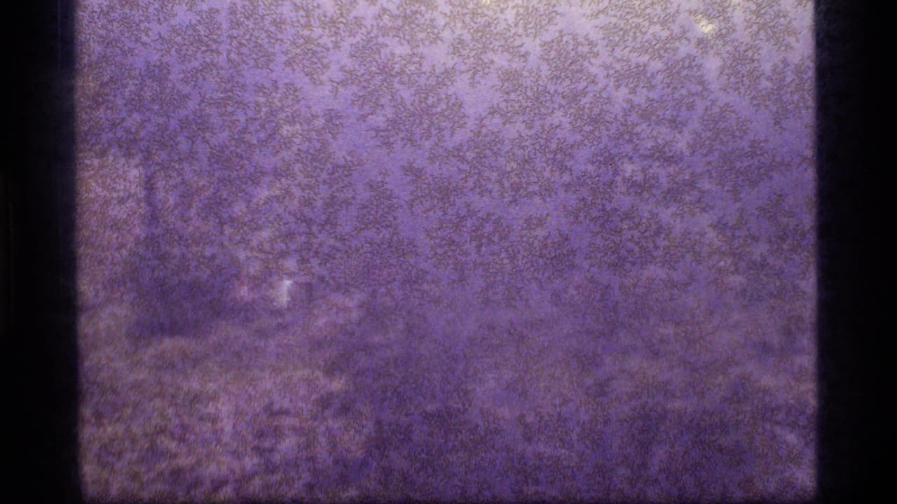 Purple-tinted 8mm frame from the 1977 Sapphire Lake reel with dense mottling, dark edge borders, and faint indistinct light patches.