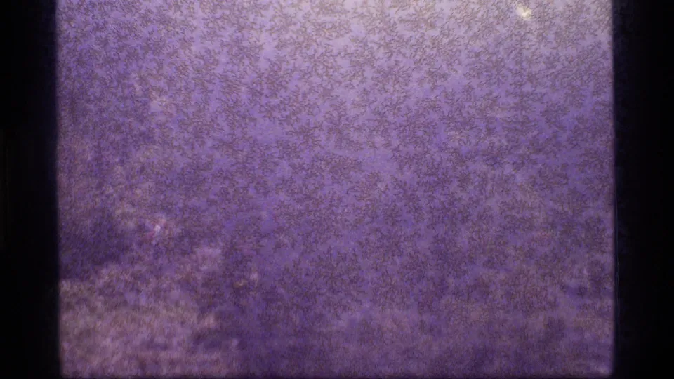 1977 Sapphire Lake 8mm material showing a purple, snow-like texture, uneven exposure, and black film-edge borders with no clear subject.
