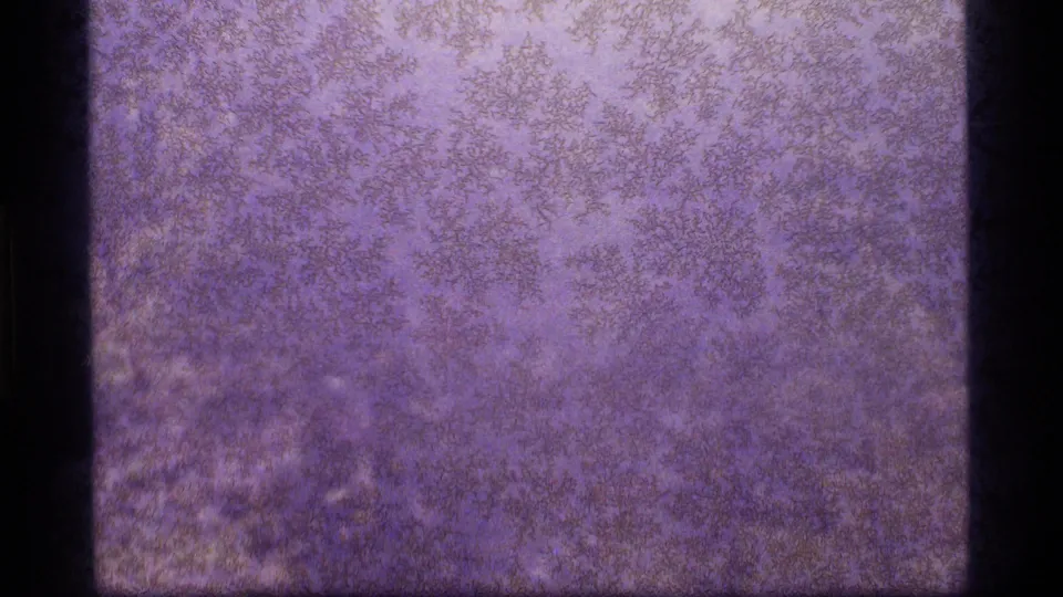 Purple-tinted 1977 8mm frame from Sapphire Lake with heavy grain, mottled emulsion texture, and dark borders, without identifiable figures or objects.