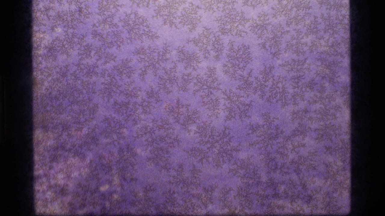 1977 8mm home-movie frame showing an abstract purple-blue field with mottled grain, soft exposure, and dark film borders.