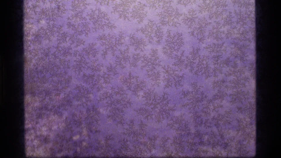 1977 8mm home-movie frame showing an abstract purple-blue field with mottled grain, soft exposure, and dark film borders.