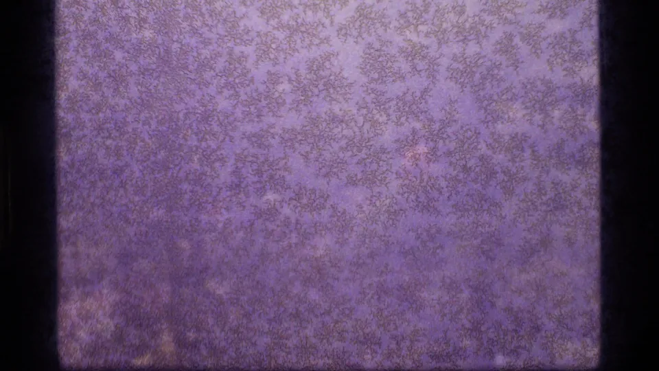 1977 8mm home-movie frame showing a pale purple abstract texture with pronounced grain, mottling, and dark side borders.
