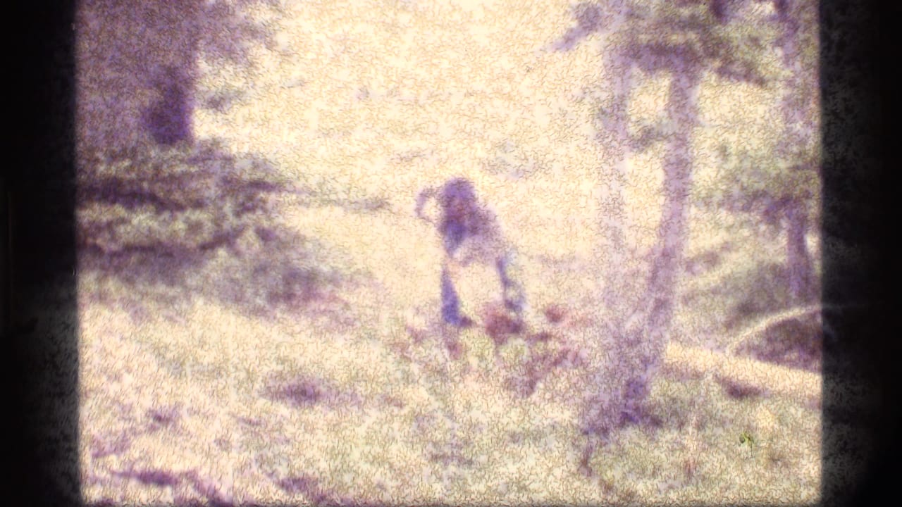 At Sapphire Lake, Montana, a man appears to work at the ground in a sunlit wooded clearing on grainy 1977 8mm film.
