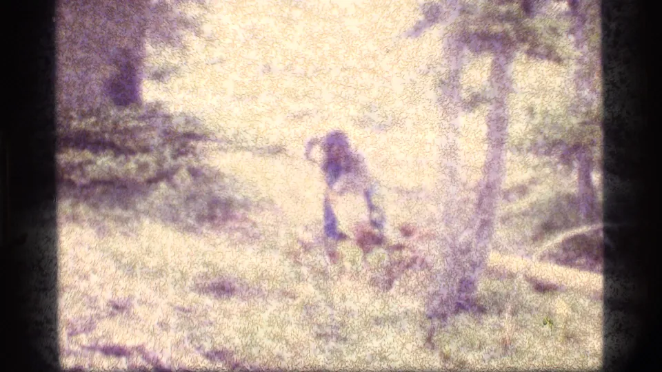At Sapphire Lake, Montana, a man appears to work at the ground in a sunlit wooded clearing on grainy 1977 8mm film.