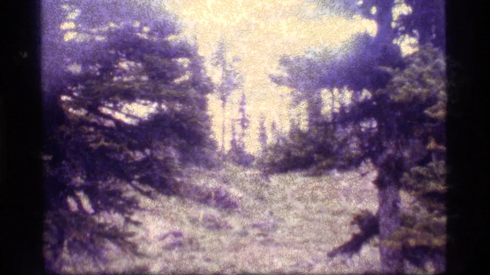 1977 Sapphire Lake, Montana home-movie frame showing a wooded area and a person partly cut off at the lower right.