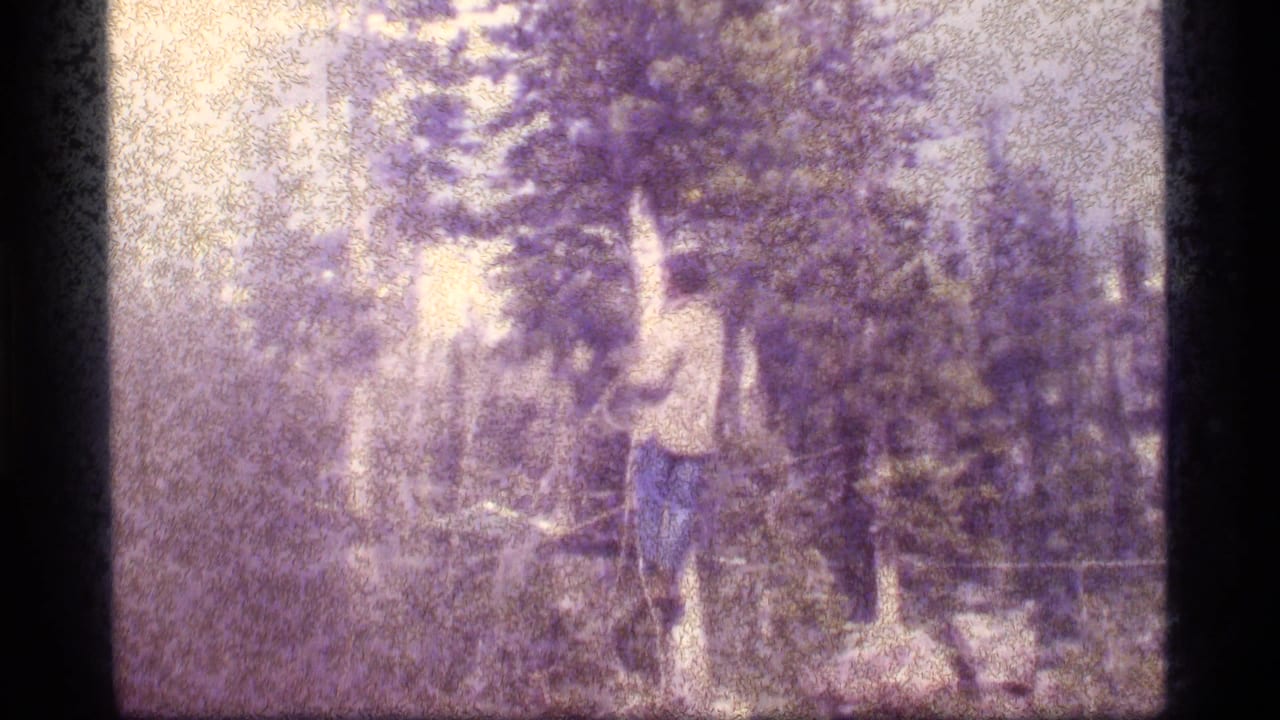 Man in a light shirt reaches upward near trees while handling a rope in a forest.