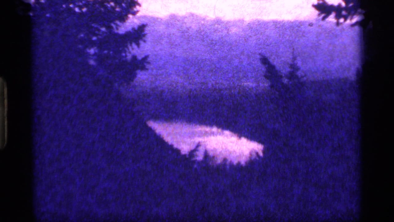 1977 Sapphire Lake, Montana footage appears to show pale lake water below dark evergreen branches and a distant wooded hillside.