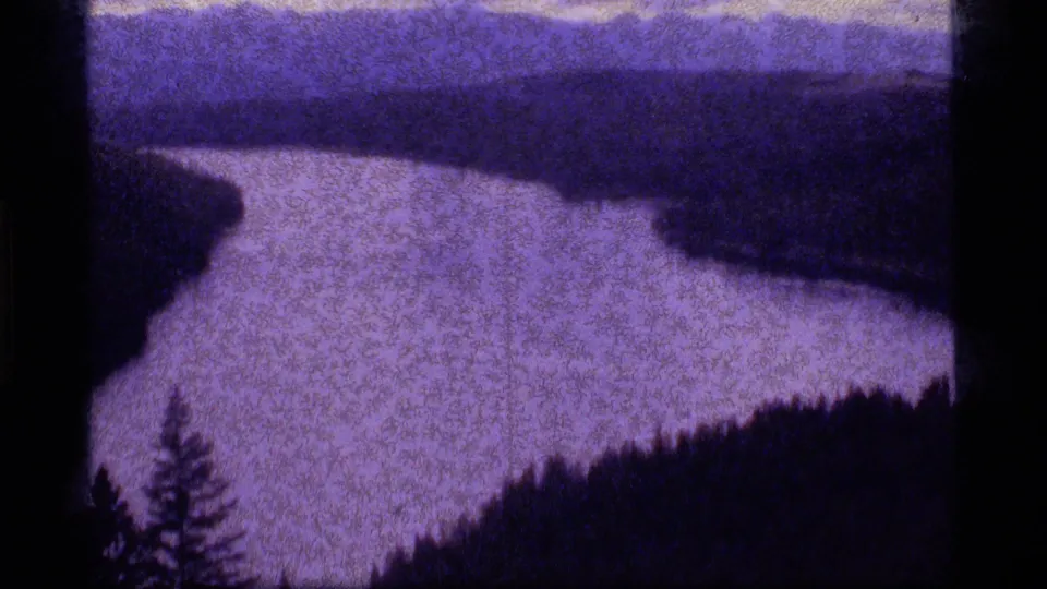 Purple-shifted 8mm view of Sapphire Lake with dark wooded banks, pale water, and a small foreground tree silhouette.