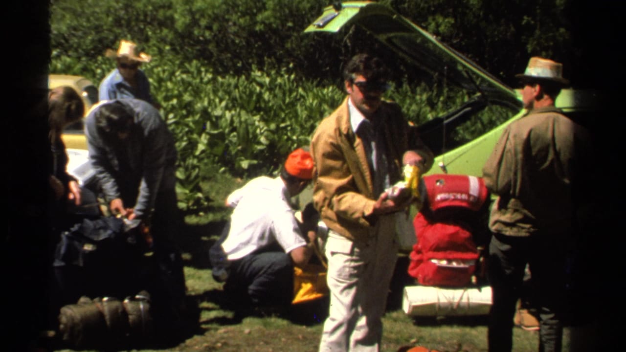 Adults gather beside a green car with hiking packs and rolled mats on grass.