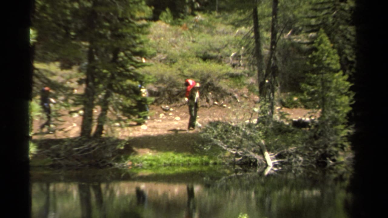 Distant hiker with backpack walking on a wooded lakeside path.