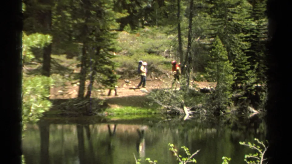 Two distant backpackers walk along the Lake Tahoe shoreline path with pine trees, brush, and calm reflective water in view.