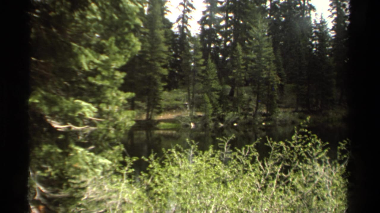 1978 8mm Lake Tahoe-area view of a shaded alpine pond, dense evergreens, bright shrubs, and dark foreground tree trunks.