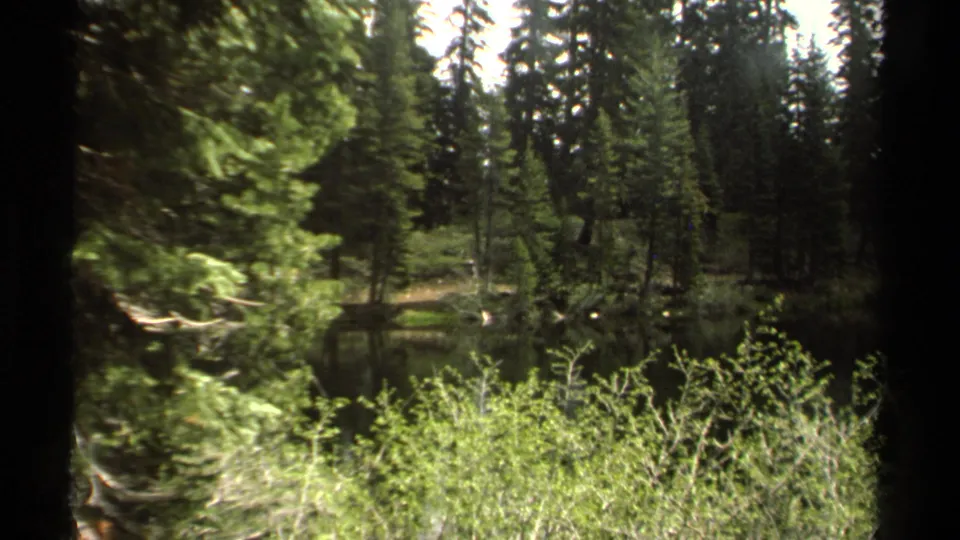 1978 8mm Lake Tahoe-area view of a shaded alpine pond, dense evergreens, bright shrubs, and dark foreground tree trunks.