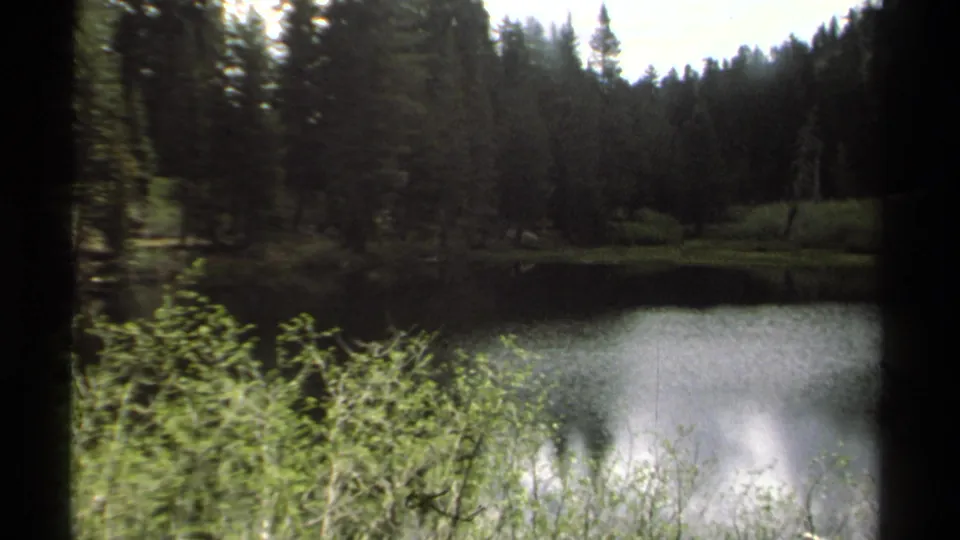 1978 8mm Lake Tahoe-area view of pond water, bright foreground shrubs, and a darker evergreen slope beyond.