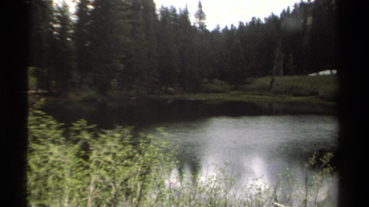 1978 Lake Tahoe 8mm frame showing still water, dense evergreens, shoreline vegetation, and dark home-movie frame edges.